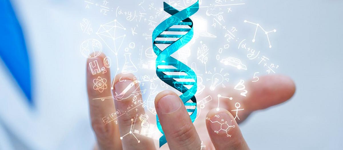 Os testes genéticos são úteis na pesquisa genealógica?
